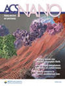 Acs Nano期刊